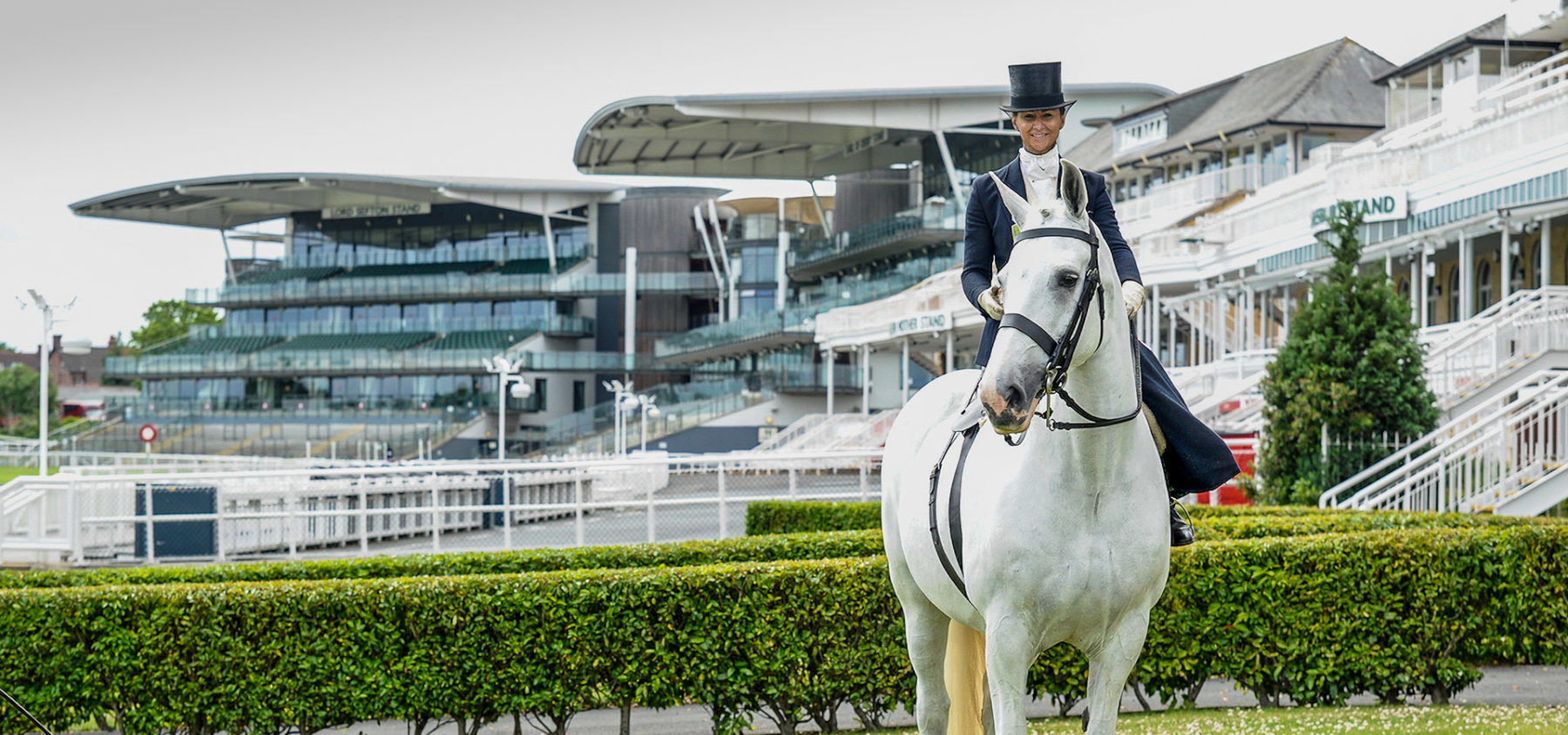 Horse at Aintree